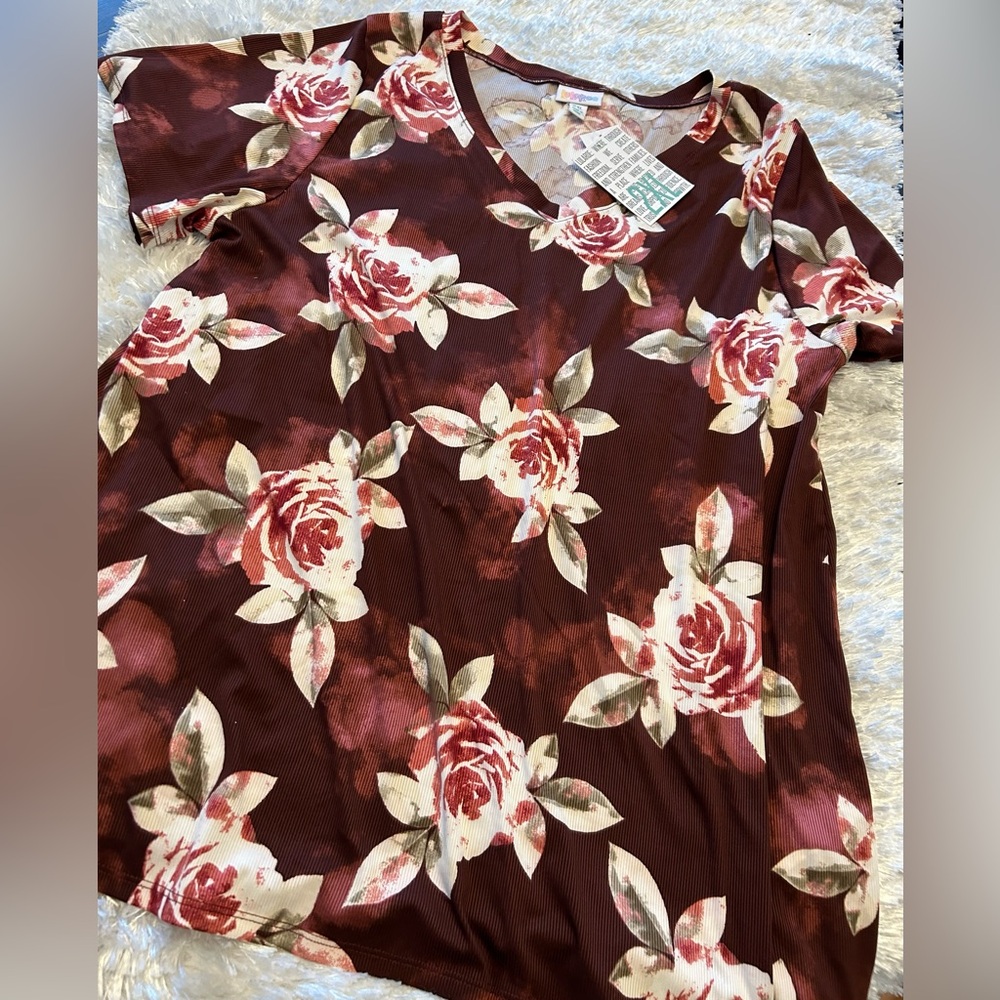 LuLaRoe V Neck “Christy” T NWT Size 2X. Very cute, flattering fit top!